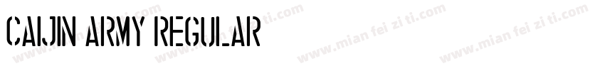 CAIJIN Army Regular字体转换
